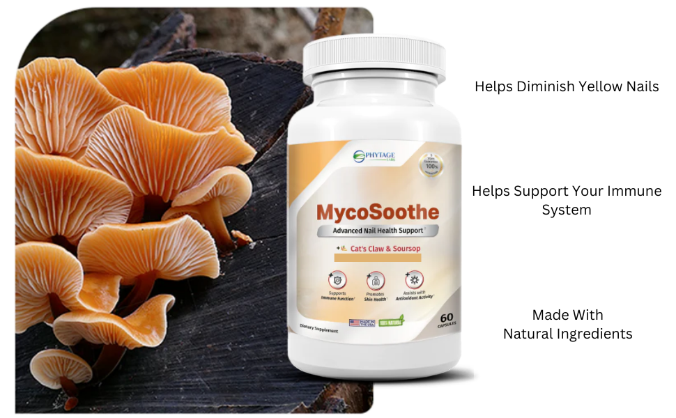 Amazon.com: MycoSoothe Advanced Hair, Skin, Nail & Immunity Support Formula  - 2 Pack : Health & Household