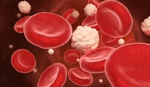 All About Glucose, Diabetes, & Health ...